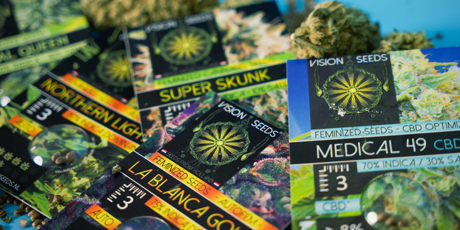 Vision Seeds: Disponível Apenas em Sementes Feminizadas