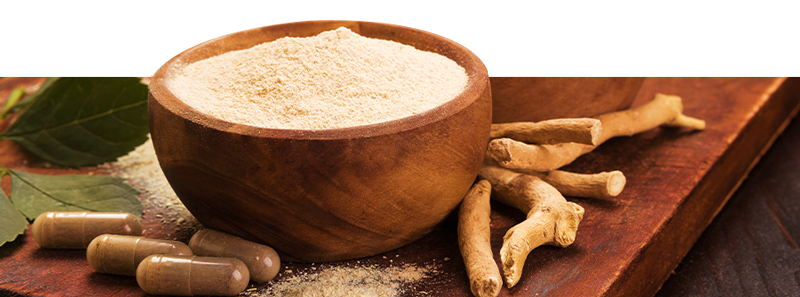 Comprar produtos Ayurveda online na Zamnesia