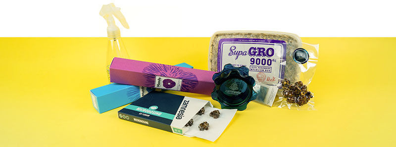 Tudo o que precisa para experiências intensas com psilocibina e microdosagem