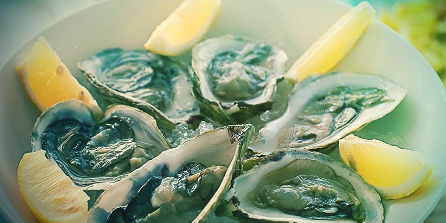 Alimentos afrodisíacos