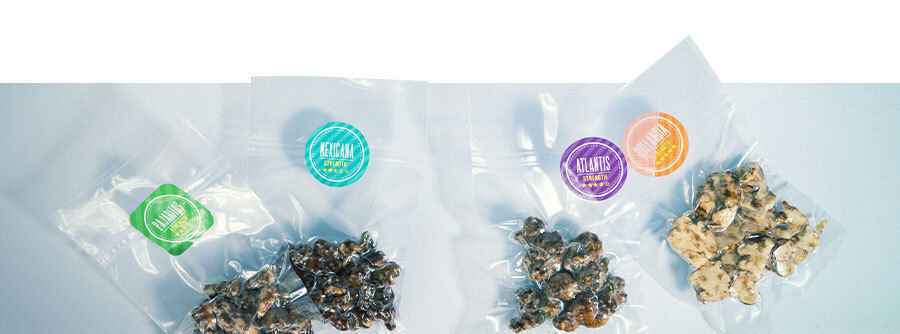 Comprar trufas mágicas online na Zamnesia