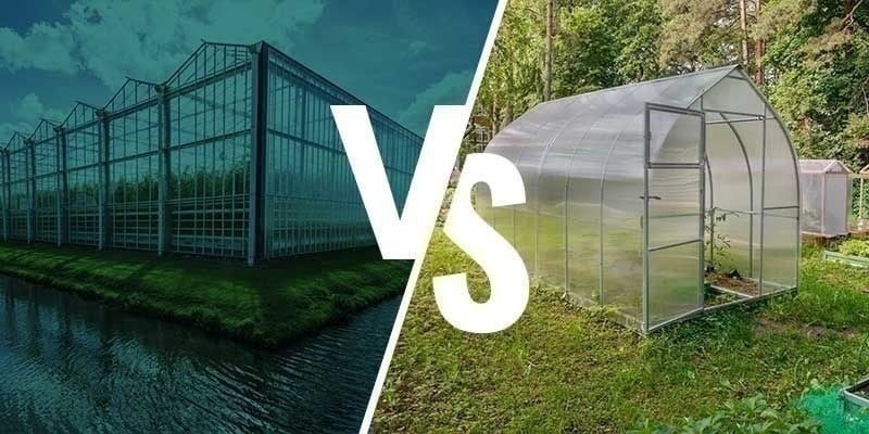 As diferenças entre cultivo em estufa e em jardim de inverno