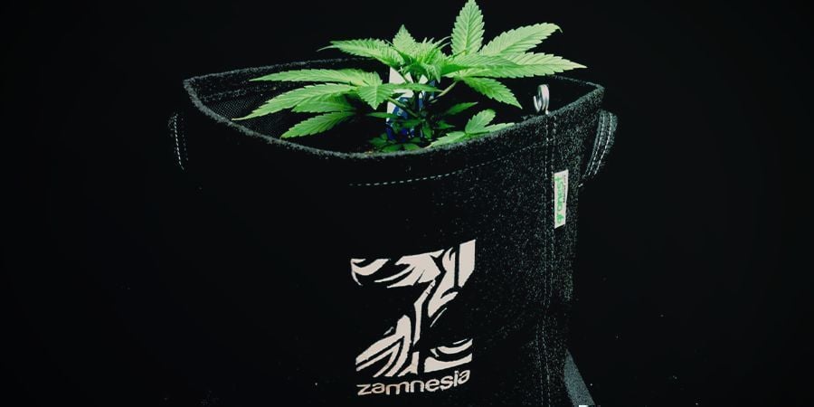 Vasos de Tecido Também Chamados de Smart Pots Cannabis