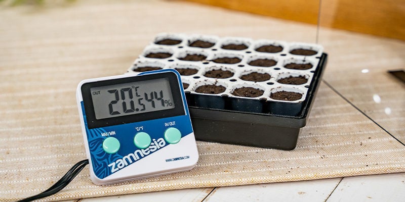 Sugestões e conselhos para germinar sementes de canábis com o Smart Start Kit