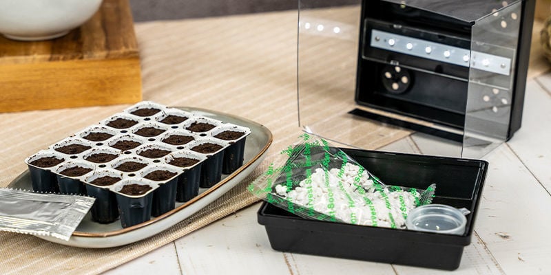 Por que germinar sementes de canábis com o kit Smart Start?