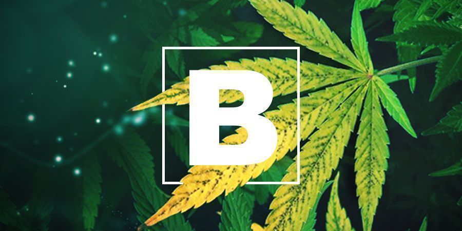 Deficiência de Boro