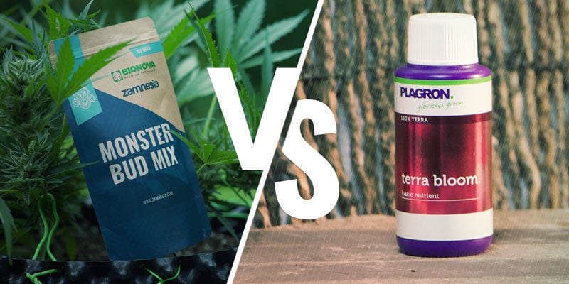 Fertilizante NPK orgânico versus sintético