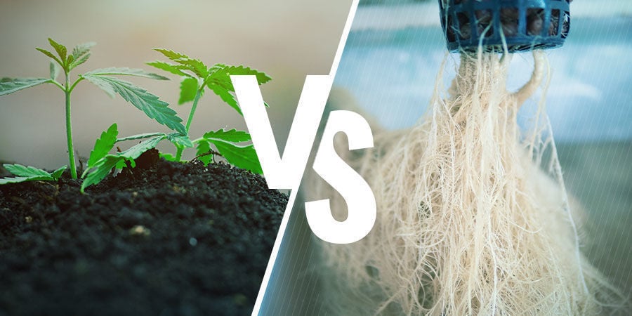 NPK: Solo vs Hidropónica