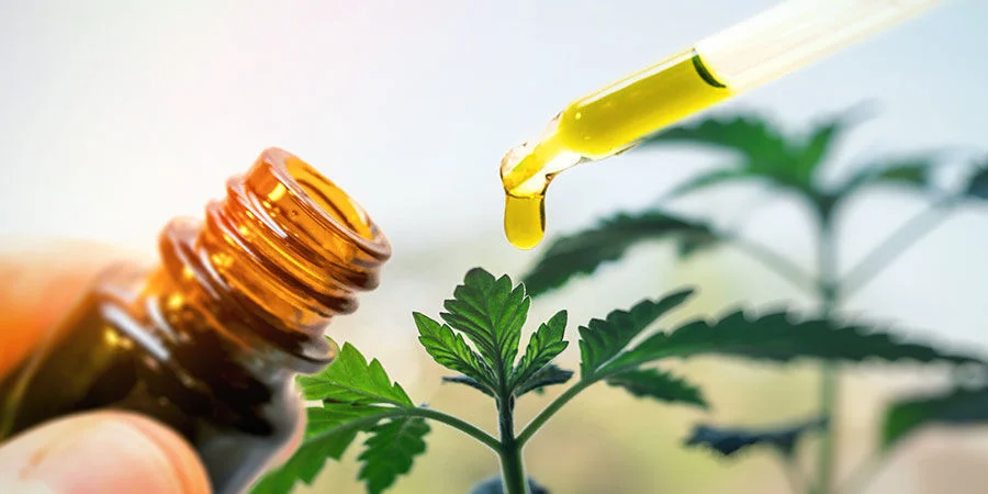 Óleo de cannabis