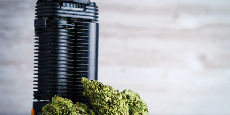 Vaporizador: Uma alternativa