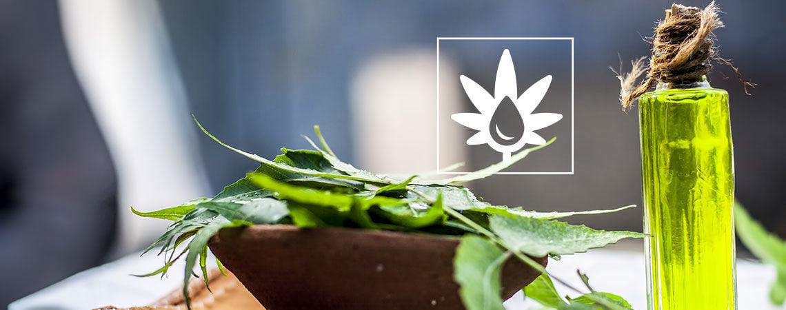 Como usar óleo de neem na sala de cultivo