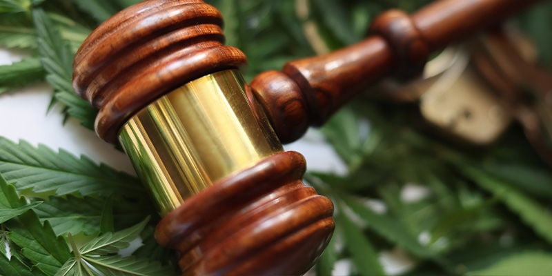 É legal cultivar canábis no seu jardim?