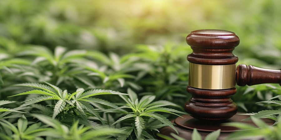 É o THCV legal?