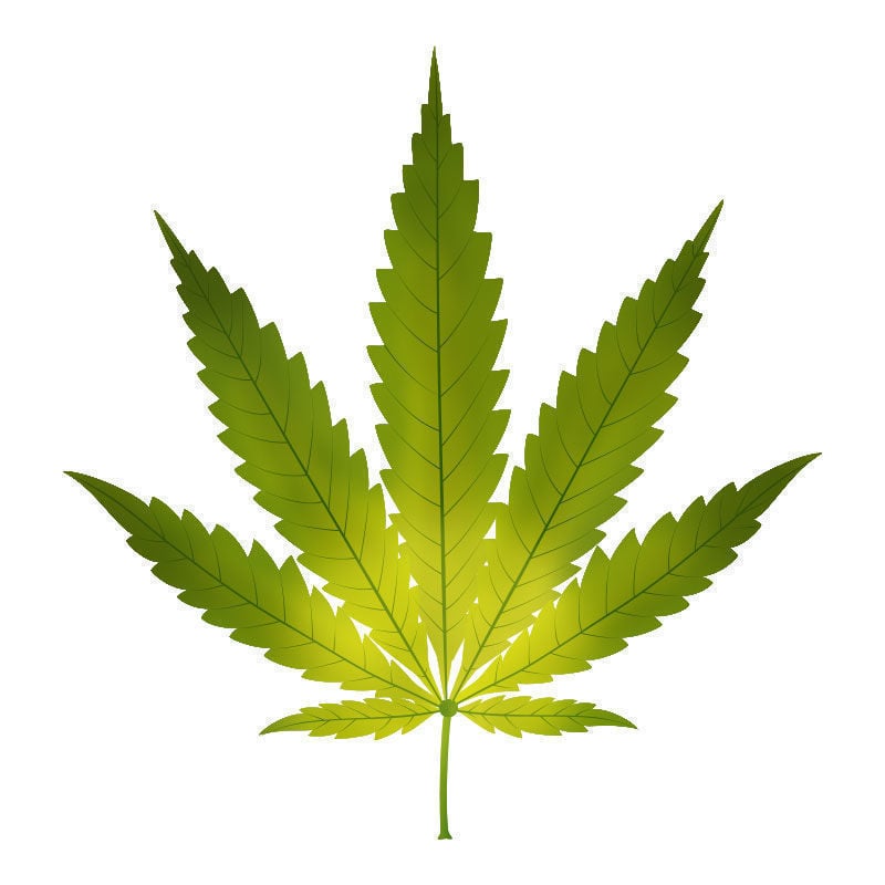 Deficiência de ferro em plantas de canábis: início da deficiência de ferro