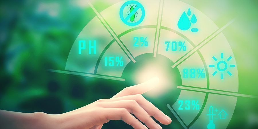 Cannabis, Magnésio e Níveis de pH