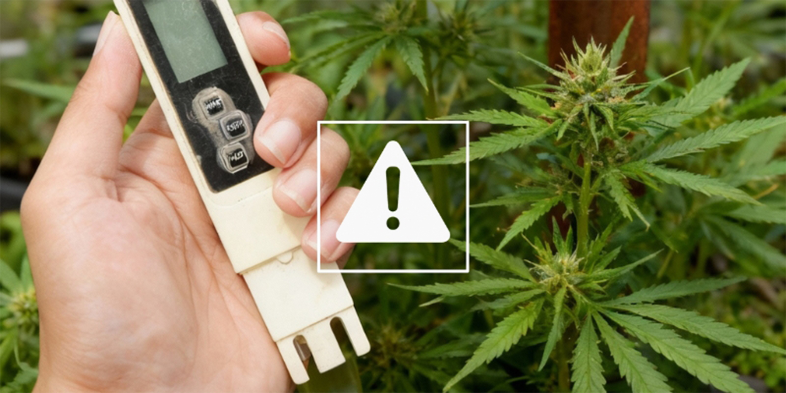 Problemas comuns com EC e como resolvê-los