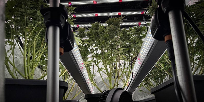 Passo 1: Planeamento da disposição da iluminação sob o dossel