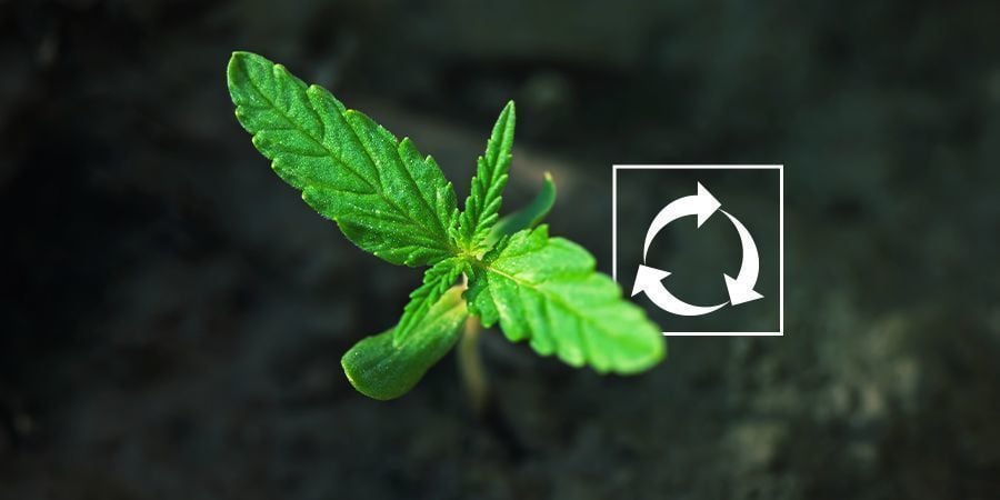 O ciclo do enxofre