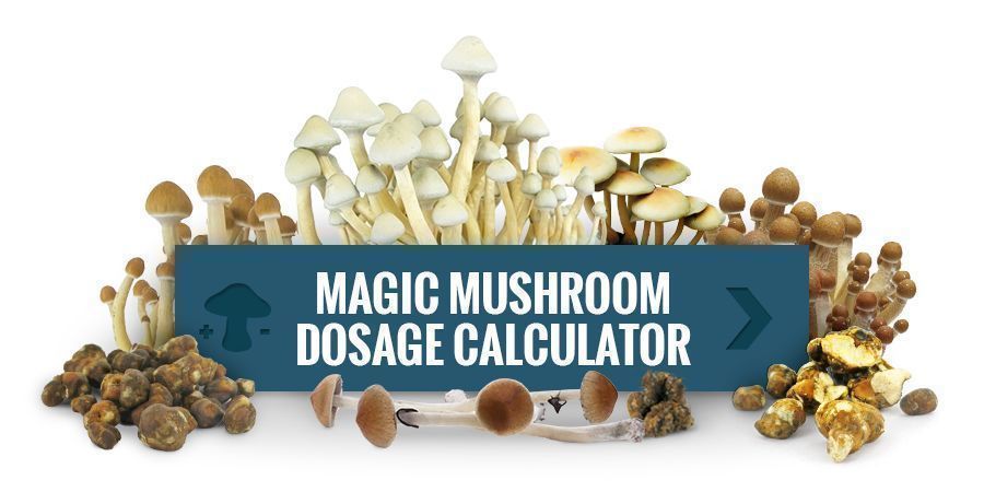 Utilize a nossa calculadora de dose de cogumelos mágicos