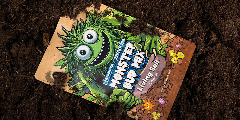 Zamnesia x Bionova - Monster Bud Mix Living Soil: Para plantas e solos saudáveis
