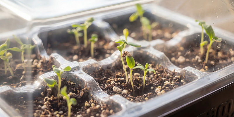 Perfeito para todos os cultivadores