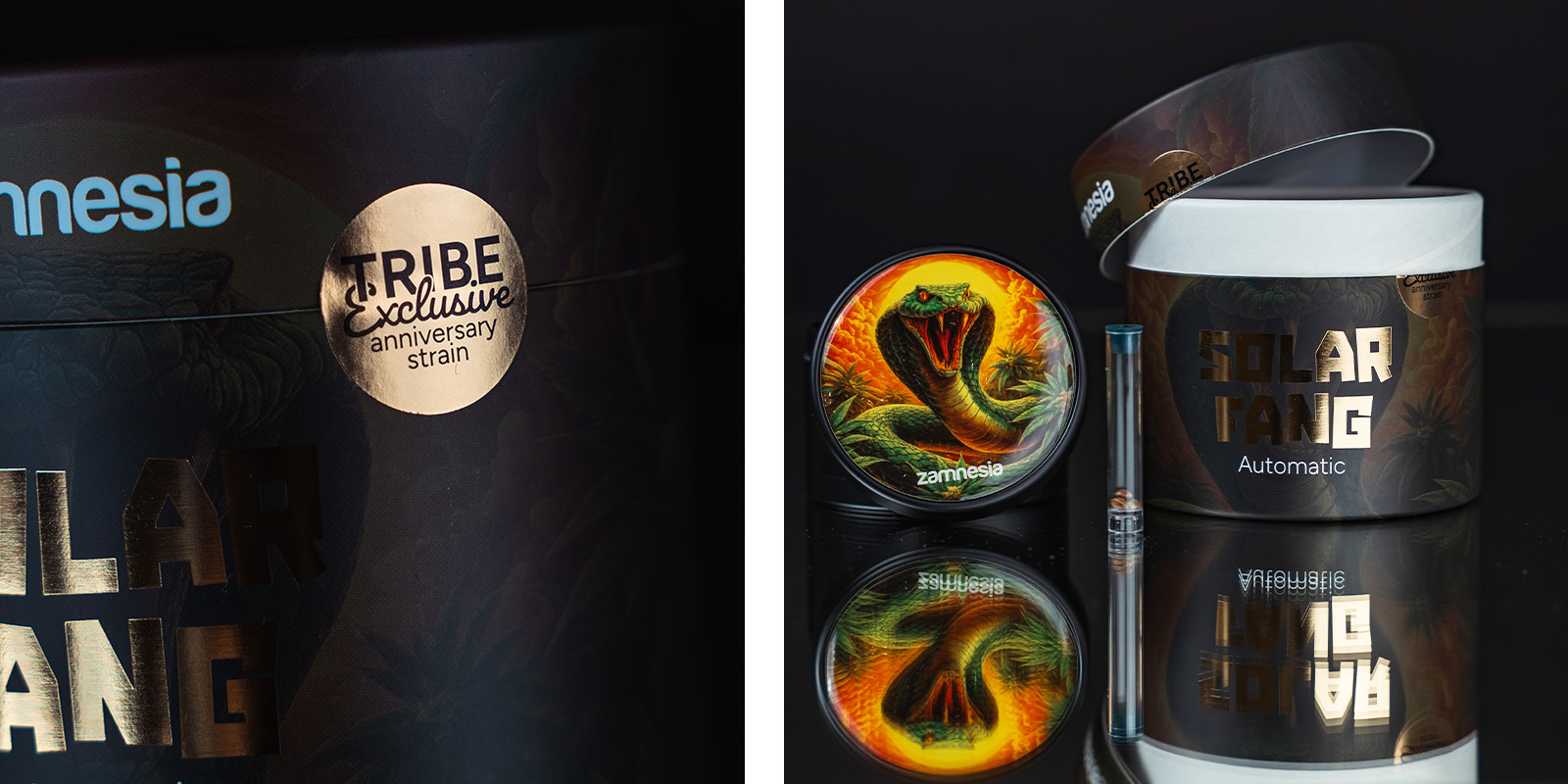 Aromas, Flavours, and Effects of Solar Fang Automatic: Potent & Fruity, With A Spicy Bite