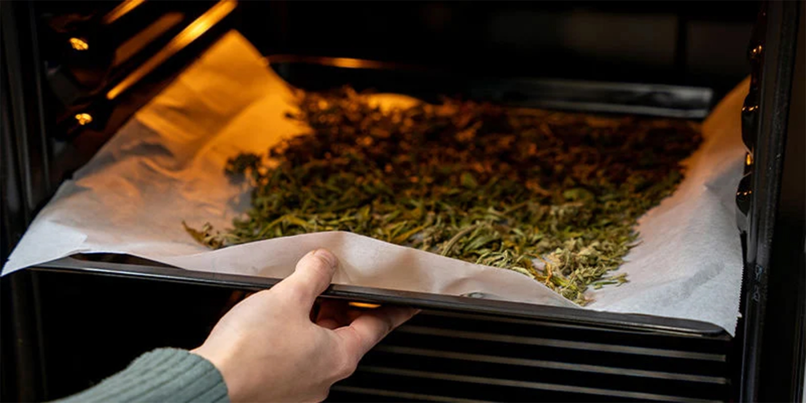 Passo 1: Descarboxilar a cannabis Passo 1: Descarboxilar a cannabis
