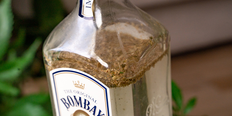 Next, Place The Ground Plant Matter In Your Gin Bottle