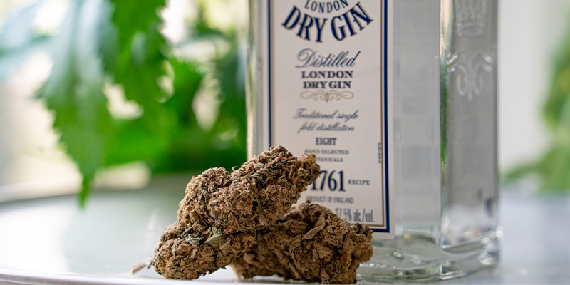 Como Aromatizar o Gin