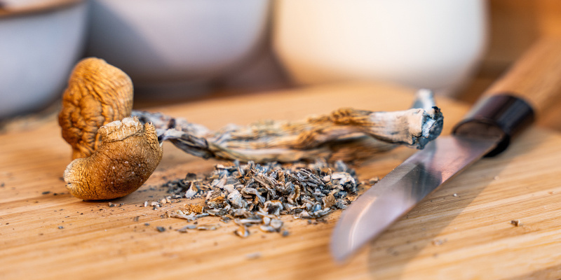 Cut your mushrooms of choice into small pieces.