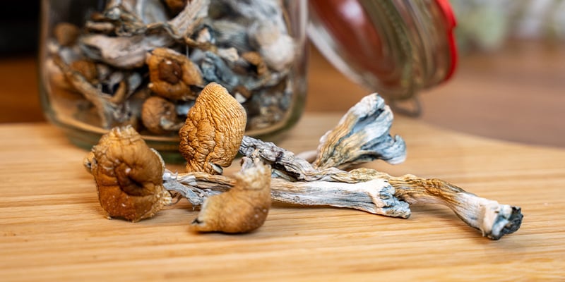 Como fazer chocolate quente com cogumelos