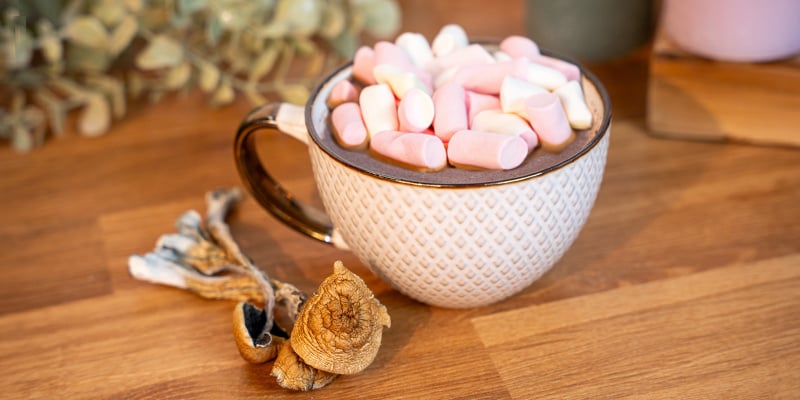 O que é chocolate de cogumelos?