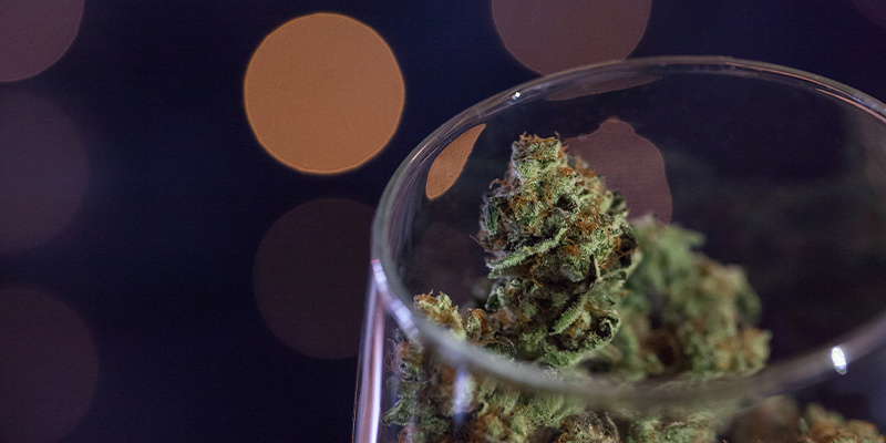 Como transformar canábis em vinho