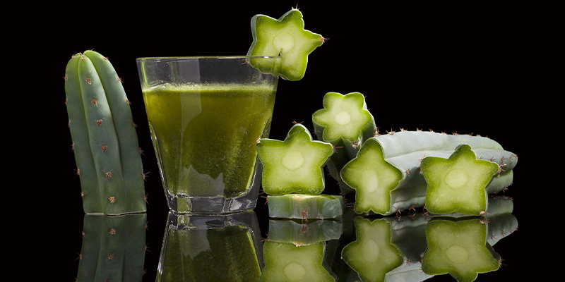 Aproveitar o poder das tradições ancestrais