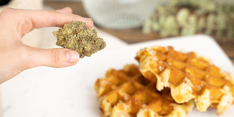 Riscos de comer waffles com cannabis