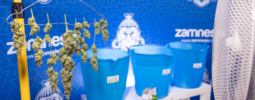 Lavagem de flores: O que é e porque deve fazê-la?