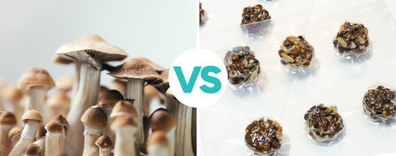 Qual é a diferença entre trufas mágicas e cogumelos mágicos?