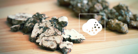 Como funcionam as trufas mágicas?