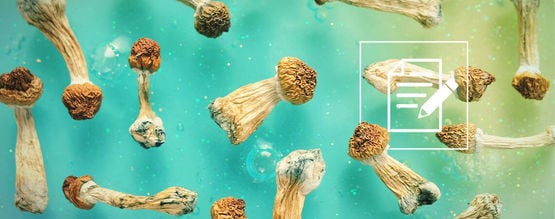 O que deve saber sobre cogumelos mágicos (shrooms)
