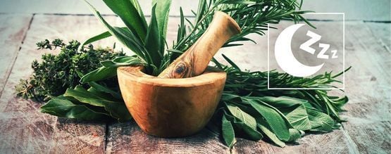 Melhores ervas naturais para promover o sono