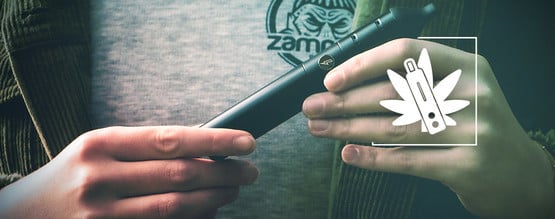 Como funcionam os vaporizadores de erva?
