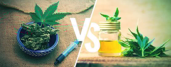A diferença entre óleo de CBD e óleo Rick Simpson