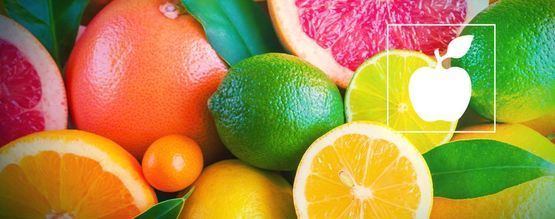 O que são os flavonoides?