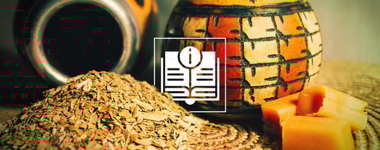 Yerba maté: Uma bebida ancestral repleta de nutrientes