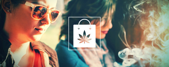 Qual é a diferença entre coffeeshops, headshops, smartshops e dispensários?