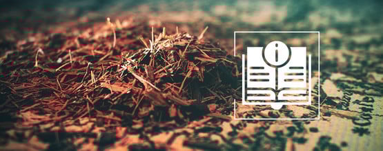Catuaba: tudo o que precisa de saber