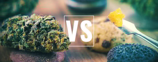 Flor de canábis vs. comestíveis vs. concentrados: qual é a melhor opção?