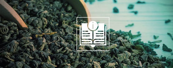 Chá verde Gunpowder: tudo o que precisa de saber