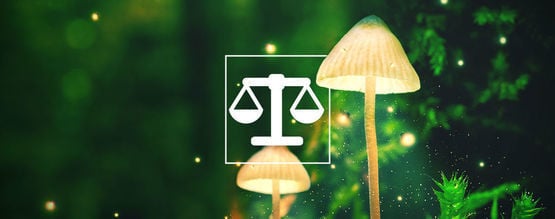 Como pesar e dosear psicadélicos em segurança