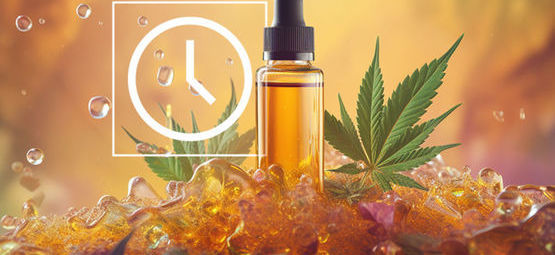 Durante quanto tempo duram os efeitos do CBD?
